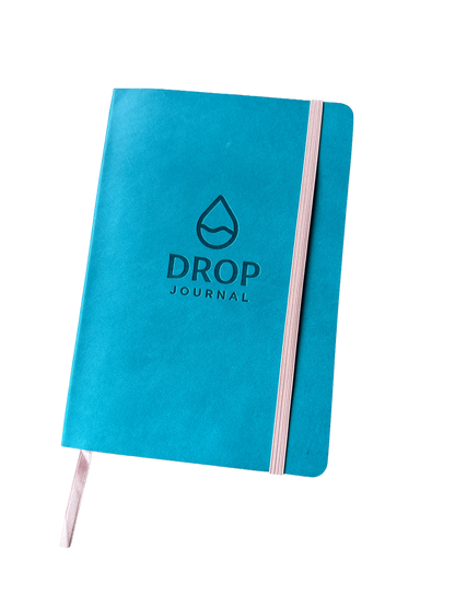 Drop Journal